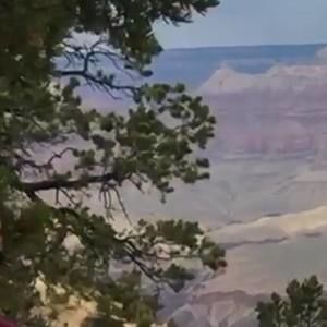 Meet your Posher, Duff